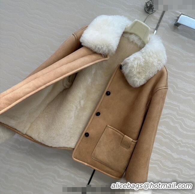 Grade Promotional Loewe Leather and Shearling Jacket 1014 Brown 2025