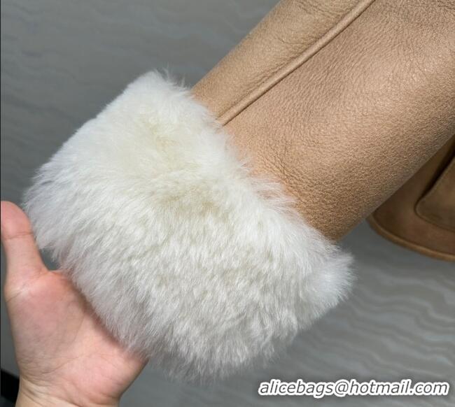 Grade Promotional Loewe Leather and Shearling Jacket 1014 Brown 2025