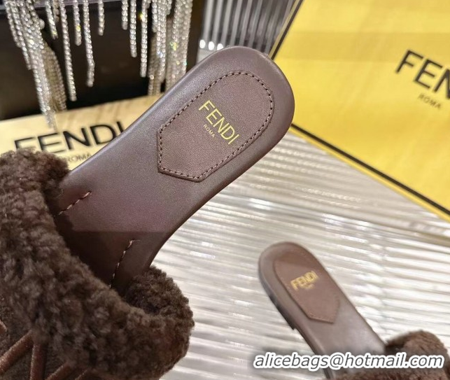 Top Design Fendi Flat Slides Sandal in Shearling Wool Dark Brown 2025 FE103003 1030015