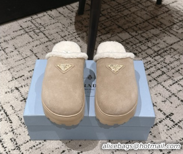 Hot Style Prada Suede and Shearling Platform Mules 4cm Taupe 2025 PR102702 1027023
