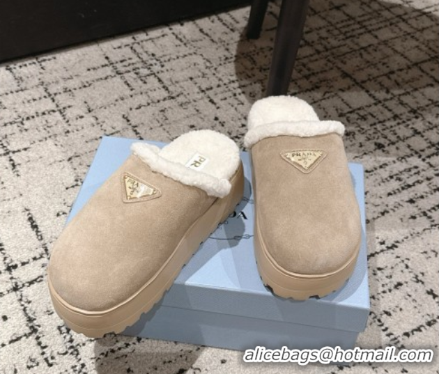 Hot Style Prada Suede and Shearling Platform Mules 4cm Taupe 2025 PR102702 1027023