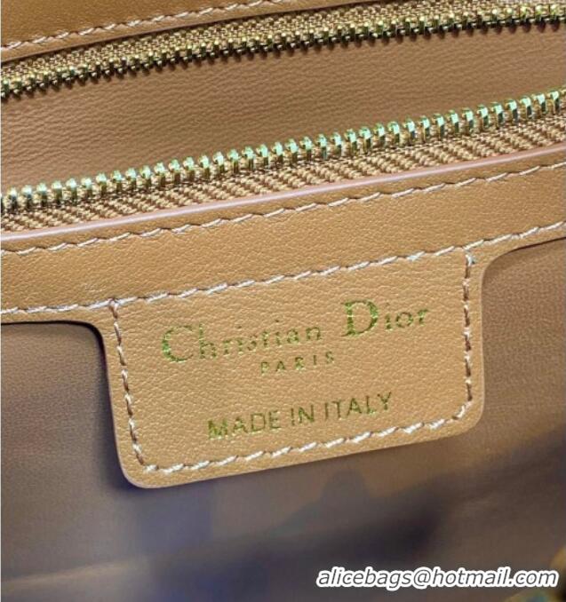 Reasonable Price Dior Bow Top Handle Bag in Calfskin Leather DR112201 Brown 2025