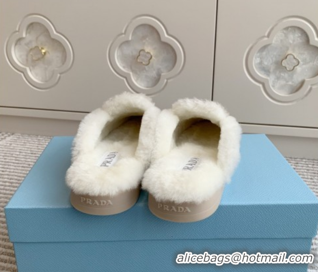 Sumptuous Prada Suede and Shearling Mules P112005 Light Brown 2025