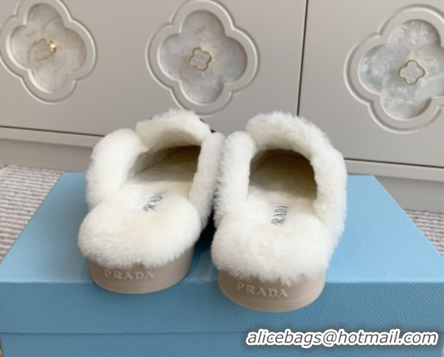 Perfect Prada Suede and Shearling Mules P112009 Black 2025