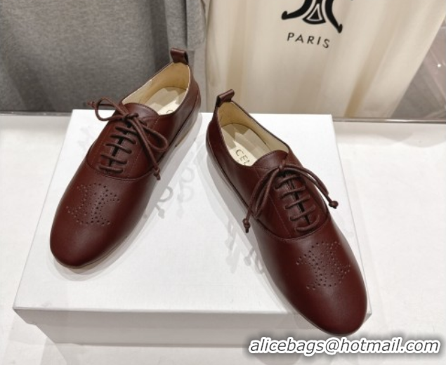Best Product Celine Lise Perforated Triomphe Richelieu Laced-up Shoes in Calfskin Leather Dark Brown 1024025