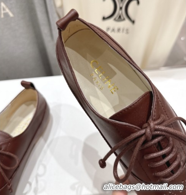Best Product Celine Lise Perforated Triomphe Richelieu Laced-up Shoes in Calfskin Leather Dark Brown 1024025
