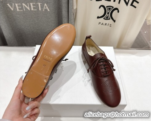 Best Product Celine Lise Perforated Triomphe Richelieu Laced-up Shoes in Calfskin Leather Dark Brown 1024025