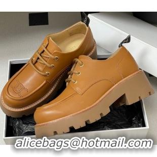 Pretty Style Celine Triomphe Platform Derbies laced-up Shoes 6cm in Calfskin Leather Brown 2025 CE102405 1024061