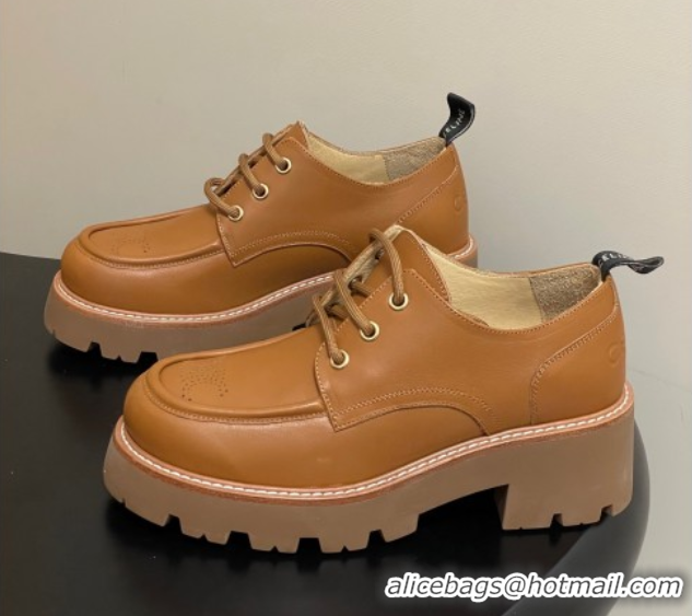 Pretty Style Celine Triomphe Platform Derbies laced-up Shoes 6cm in Calfskin Leather Brown 2025 CE102405 1024061