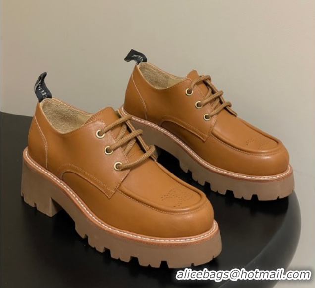 Pretty Style Celine Triomphe Platform Derbies laced-up Shoes 6cm in Calfskin Leather Brown 2025 CE102405 1024061