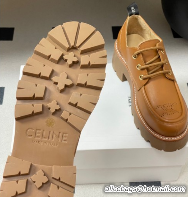 Pretty Style Celine Triomphe Platform Derbies laced-up Shoes 6cm in Calfskin Leather Brown 2025 CE102405 1024061