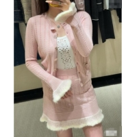 Well Crafted Chanel Cashmere Skirt CH090202 Pink 2025