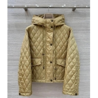 Buy Classic Burgundy Quilted and Padded Cotton Jacket BR091901 Khaki 2025