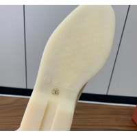 AAAAA Loro Piana Summer Charms Walk Loafer in Suede LP110421 Apricot 2025