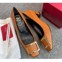 Popular Style Roger Vivier Trompette Pumps 4.5cm in Calf Leather with Buckle Brown 1030075