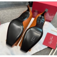 Most Popular Roger Vivier Trompette Pumps 7cm in Calf Leather with Buckle Brown 1030082