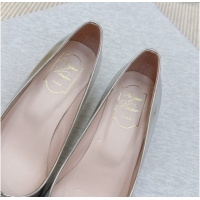 Sumptuous Roger Vivier Jewel Pumps 4.5cm in Calf Leather Silver 1030092