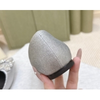 Popular Style Roger Vivier Efflorescence Jewel Ballerinas Flat in Silver Glitter 1030107