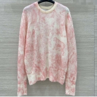 Traditional Specials Dior Mohair & Wool Sweater D82108 Pink 2025