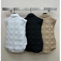 Best Price Dior Oblique Vest with Belt DR090404 Beige 2025