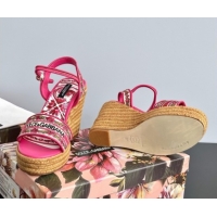 Good Looking Dolce & Gabbana Wedge Sandals 9cm in Majolica Embroidery Pink 50825132
