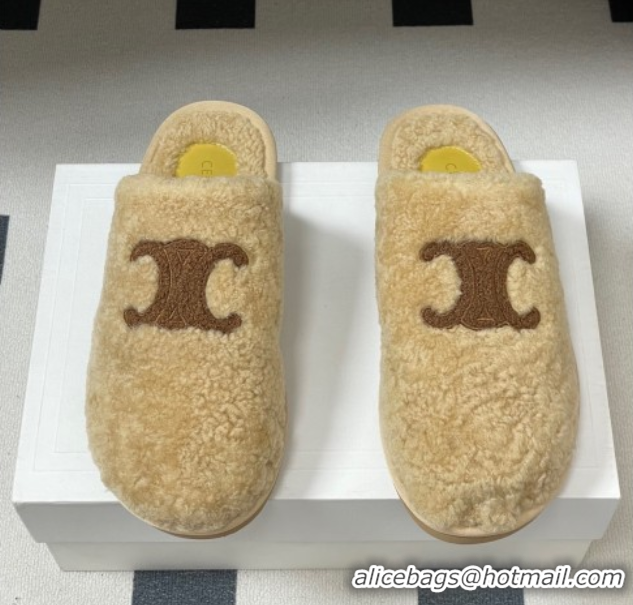 Pretty Style Celine Georgia Flat Slides Sandal in Shearling Beige 1024066