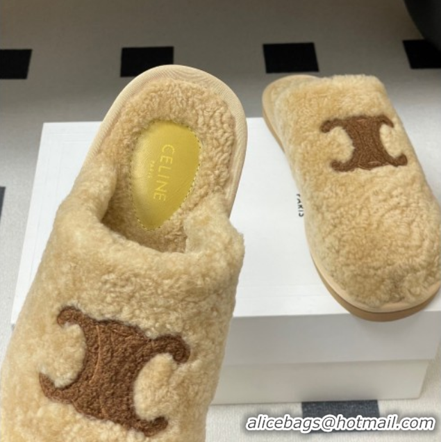 Pretty Style Celine Georgia Flat Slides Sandal in Shearling Beige 1024066