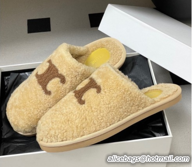 Pretty Style Celine Georgia Flat Slides Sandal in Shearling Beige 1024066