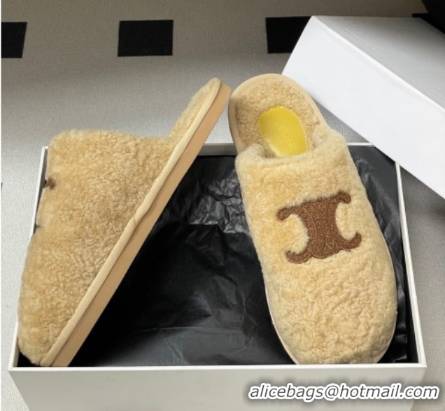 Pretty Style Celine Georgia Flat Slides Sandal in Shearling Beige 1024066