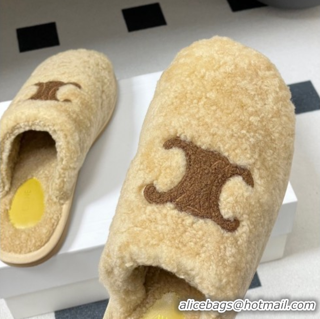 Pretty Style Celine Georgia Flat Slides Sandal in Shearling Beige 1024066