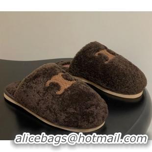 Top Grade Celine Georgia Flat Slides Sandal in Shearling Dark Brown 1024067
