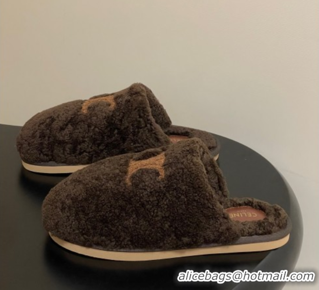 Top Grade Celine Georgia Flat Slides Sandal in Shearling Dark Brown 1024067