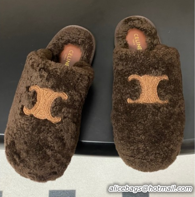 Top Grade Celine Georgia Flat Slides Sandal in Shearling Dark Brown 1024067