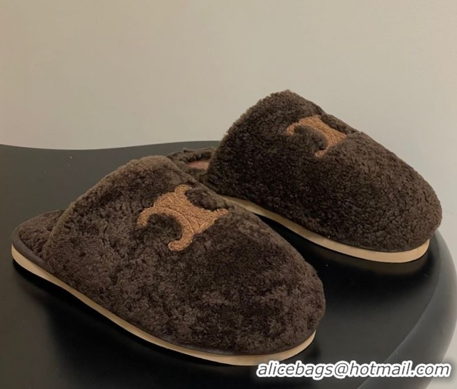 Top Grade Celine Georgia Flat Slides Sandal in Shearling Dark Brown 1024067