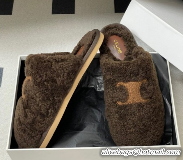 Top Grade Celine Georgia Flat Slides Sandal in Shearling Dark Brown 1024067