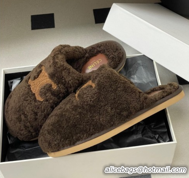 Top Grade Celine Georgia Flat Slides Sandal in Shearling Dark Brown 1024067