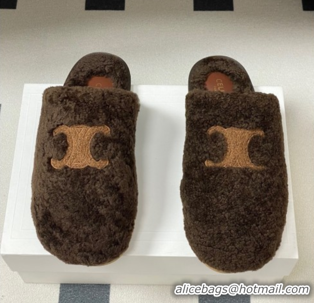 Top Grade Celine Georgia Flat Slides Sandal in Shearling Dark Brown 1024067