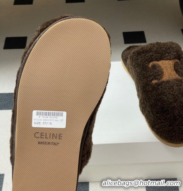 Top Grade Celine Georgia Flat Slides Sandal in Shearling Dark Brown 1024067