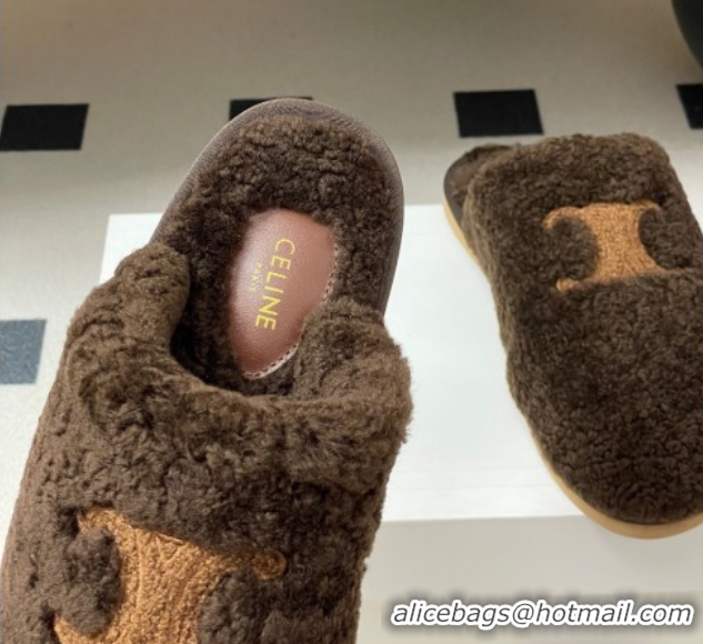 Top Grade Celine Georgia Flat Slides Sandal in Shearling Dark Brown 1024067