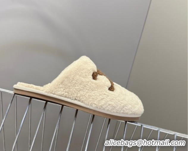 Sophisticated Celine Georgia Flat Slides Sandal in Shearling Light Grey 1024068