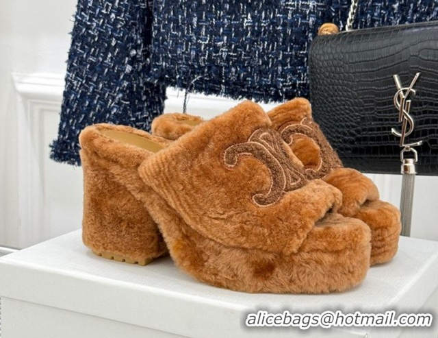 Perfect Celine Triomphe Wool Platform Slides Sandal 8cm Brown 2025 7027801