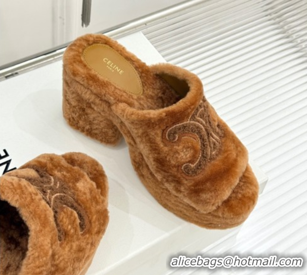 Perfect Celine Triomphe Wool Platform Slides Sandal 8cm Brown 2025 7027801