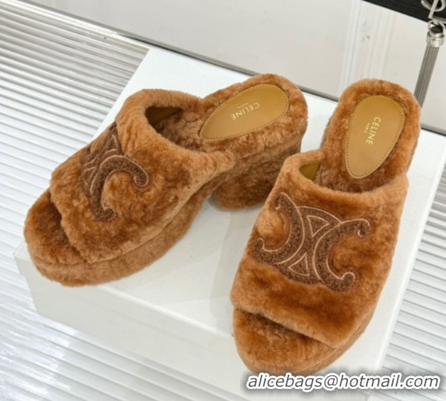 Perfect Celine Triomphe Wool Platform Slides Sandal 8cm Brown 2025 7027801