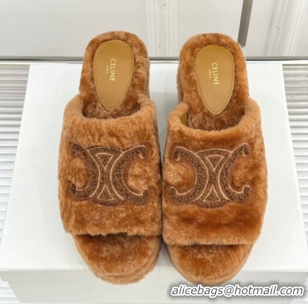 Perfect Celine Triomphe Wool Platform Slides Sandal 8cm Brown 2025 7027801