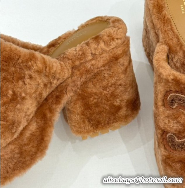 Perfect Celine Triomphe Wool Platform Slides Sandal 8cm Brown 2025 7027801