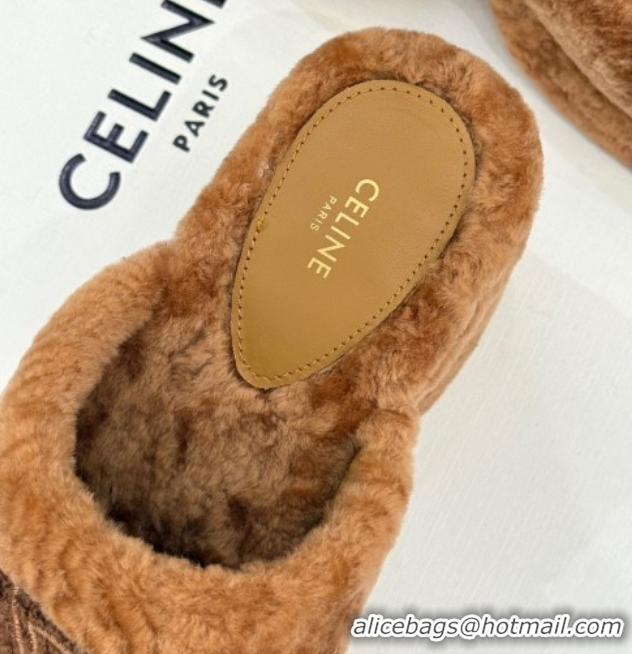 Perfect Celine Triomphe Wool Platform Slides Sandal 8cm Brown 2025 7027801