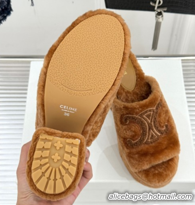 Perfect Celine Triomphe Wool Platform Slides Sandal 8cm Brown 2025 7027801