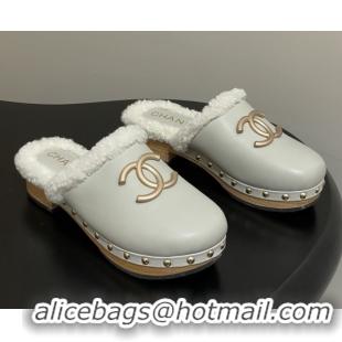 Low Price Chanel Calfskin Mules with Shearling CH102005 White