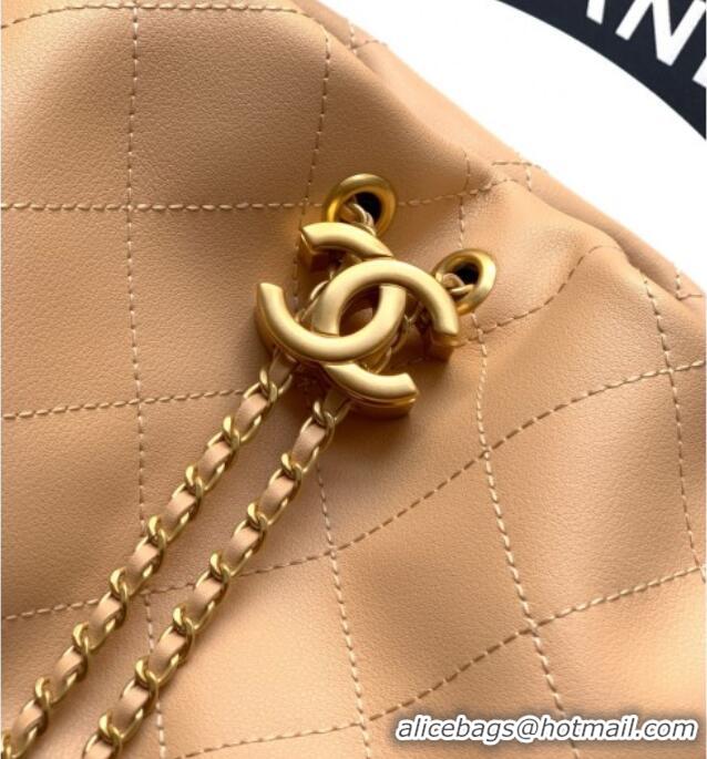 Best Price Chanel Calfskin Leather Large Hobo Handbag AS5967 Khaki 2025