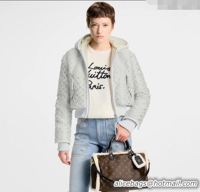 Affordable Price Louis Vuitton Speedy Soft 30 Teddy Bag in Monogram Canvas and Shearling M26326 2025